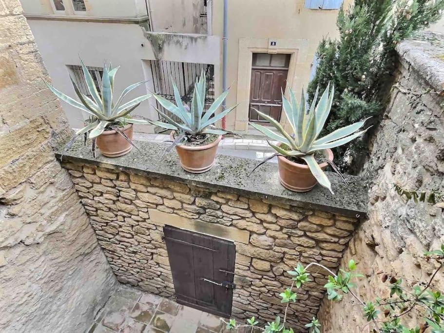 Chez Lydia - Loft Cosy, Depart Canoe A Pied, Proche Pont-Du-Gard Et Uzes Remoulins Bagian luar foto